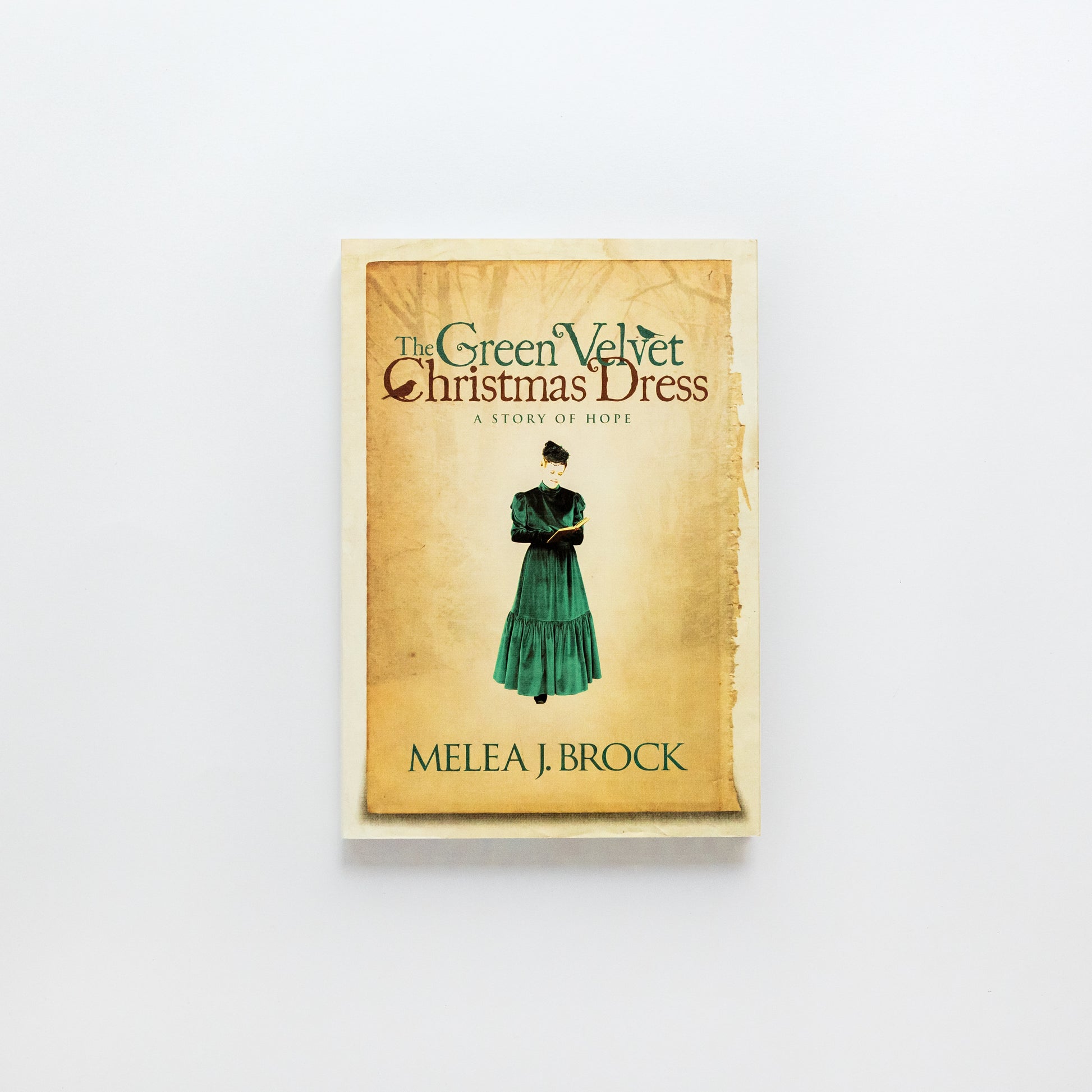 the christmas dress book The Christmas Dress